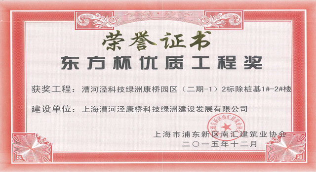 2015年度康桥二期浦东新区东方杯优质工程