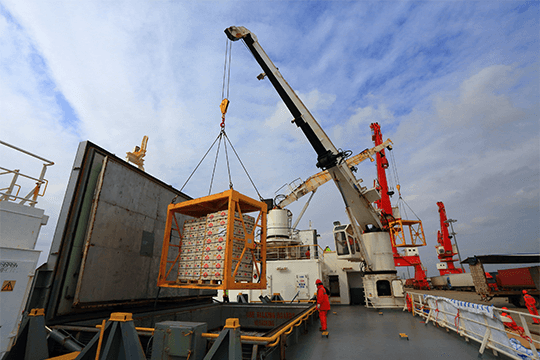 进口水果指定港区